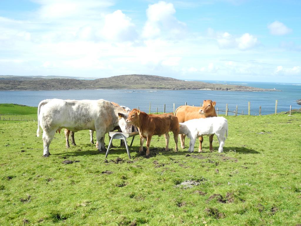 Hillside 4* Clifden