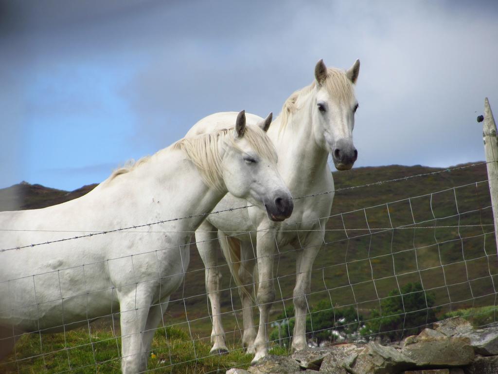 Hillside 4* Clifden